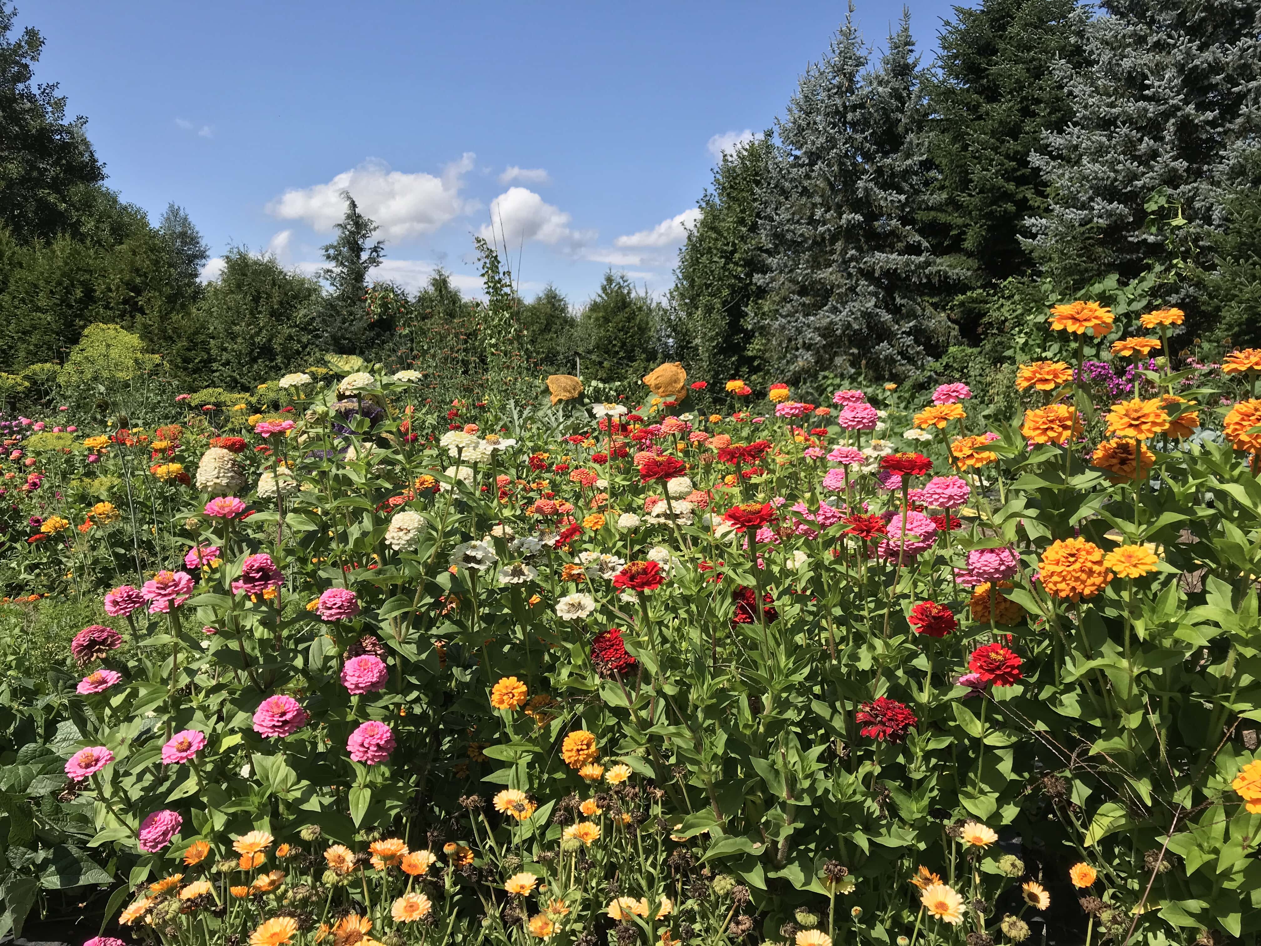 Es riecht schon nach Sommer…