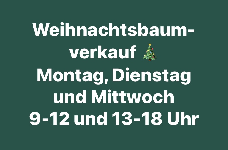 Weihnachtsbaum-Endspurt